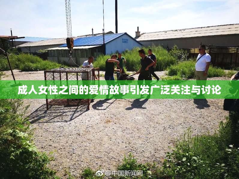 成人女性之间的爱情故事引发广泛关注与讨论