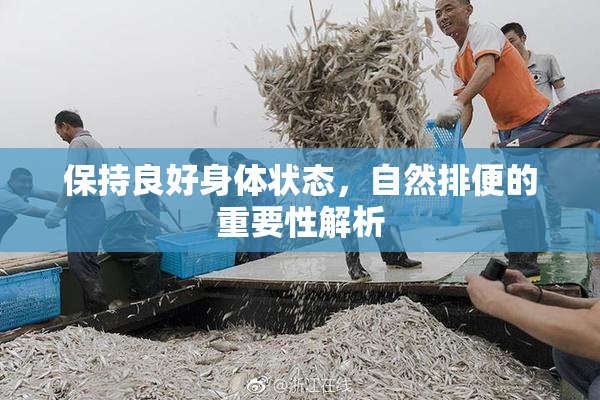 保持良好身体状态，自然排便的重要性解析
