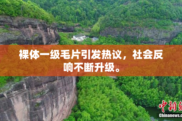 裸体一级毛片引发热议，社会反响不断升级。