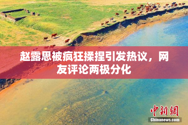 赵露思被疯狂揉捏引发热议，网友评论两极分化