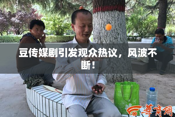 豆传媒剧引发观众热议，风波不断！