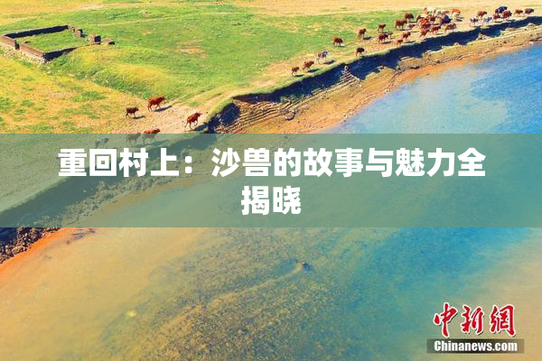 重回村上：沙兽的故事与魅力全揭晓