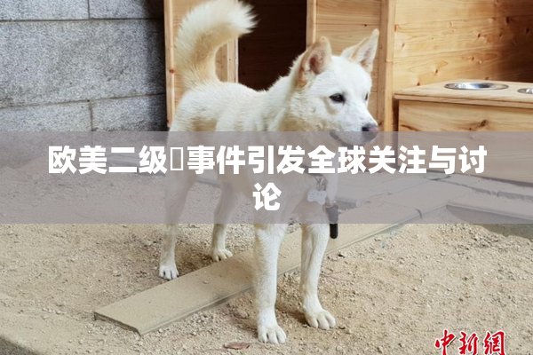 欧美二级婬事件引发全球关注与讨论