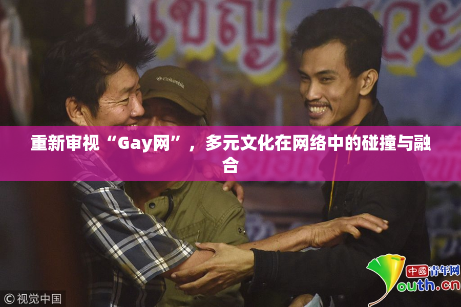 重新审视“Gay网”，多元文化在网络中的碰撞与融合