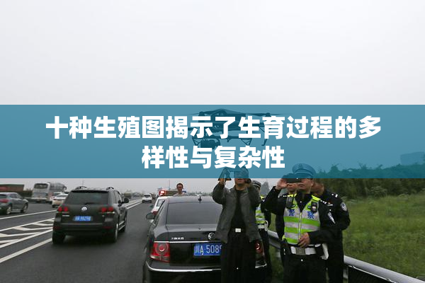 十种生殖图揭示了生育过程的多样性与复杂性