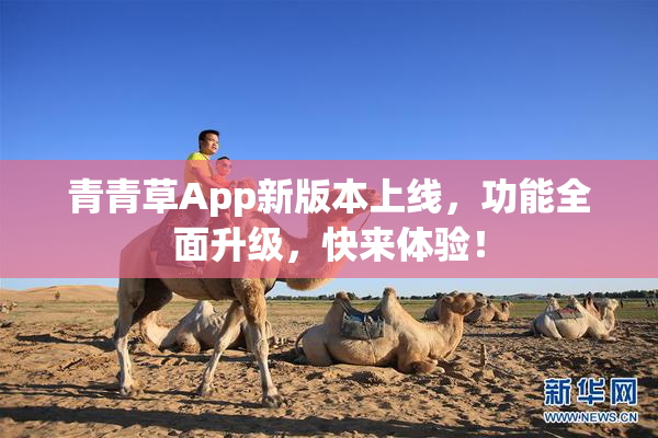 青青草App新版本上线，功能全面升级，快来体验！