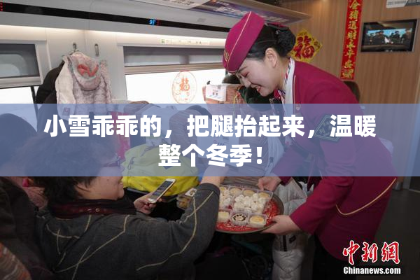 小雪乖乖的，把腿抬起来，温暖整个冬季！