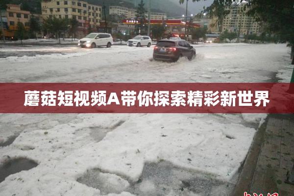 蘑菇短视频A带你探索精彩新世界