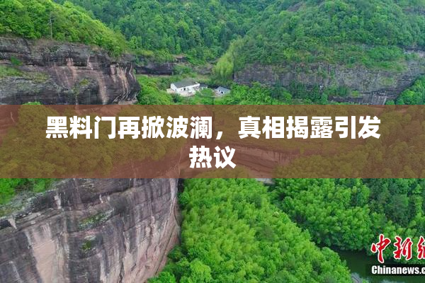 黑料门再掀波澜，真相揭露引发热议