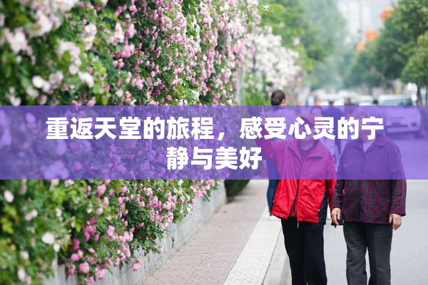重返天堂的旅程，感受心灵的宁静与美好