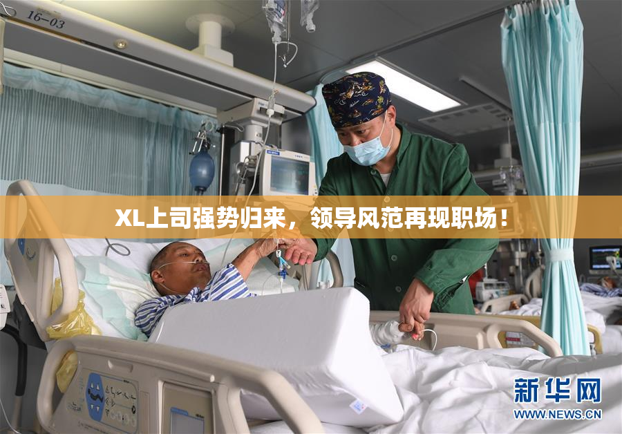 XL上司强势归来，领导风范再现职场！