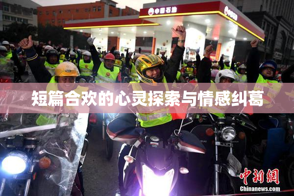 短篇合欢的心灵探索与情感纠葛