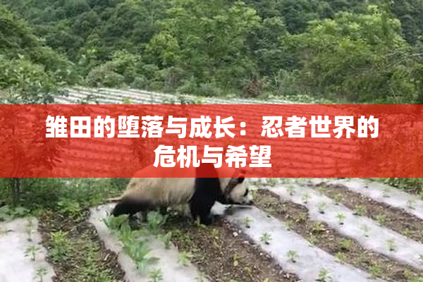 雏田的堕落与成长：忍者世界的危机与希望