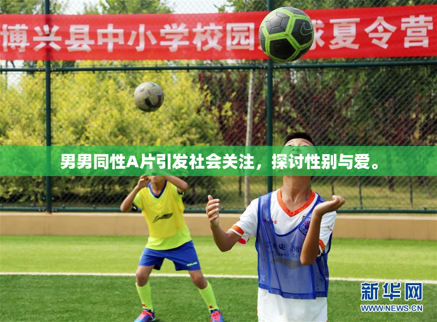 男男同性A片引发社会关注，探讨性别与爱。