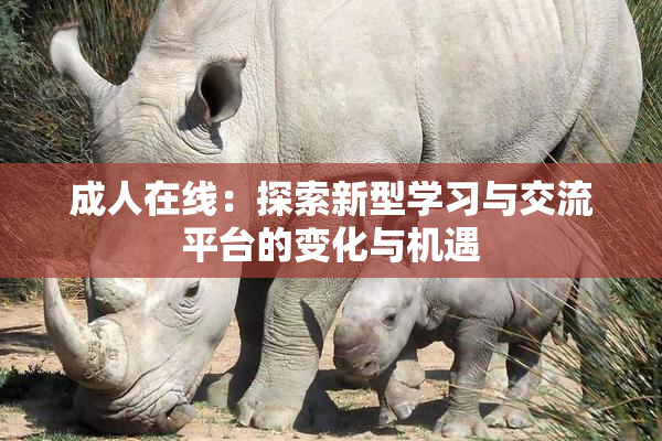 成人在线：探索新型学习与交流平台的变化与机遇