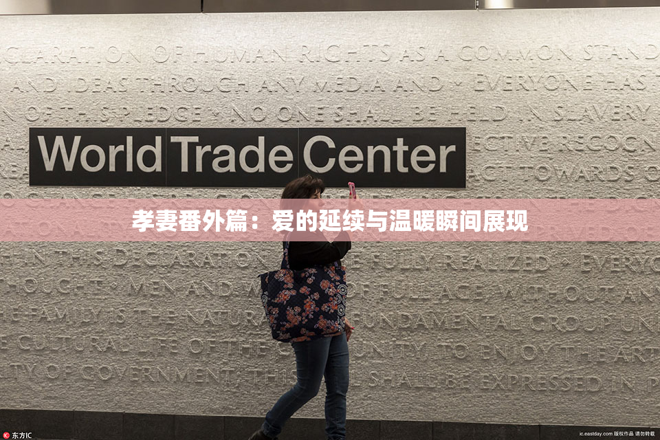 孝妻番外篇：爱的延续与温暖瞬间展现