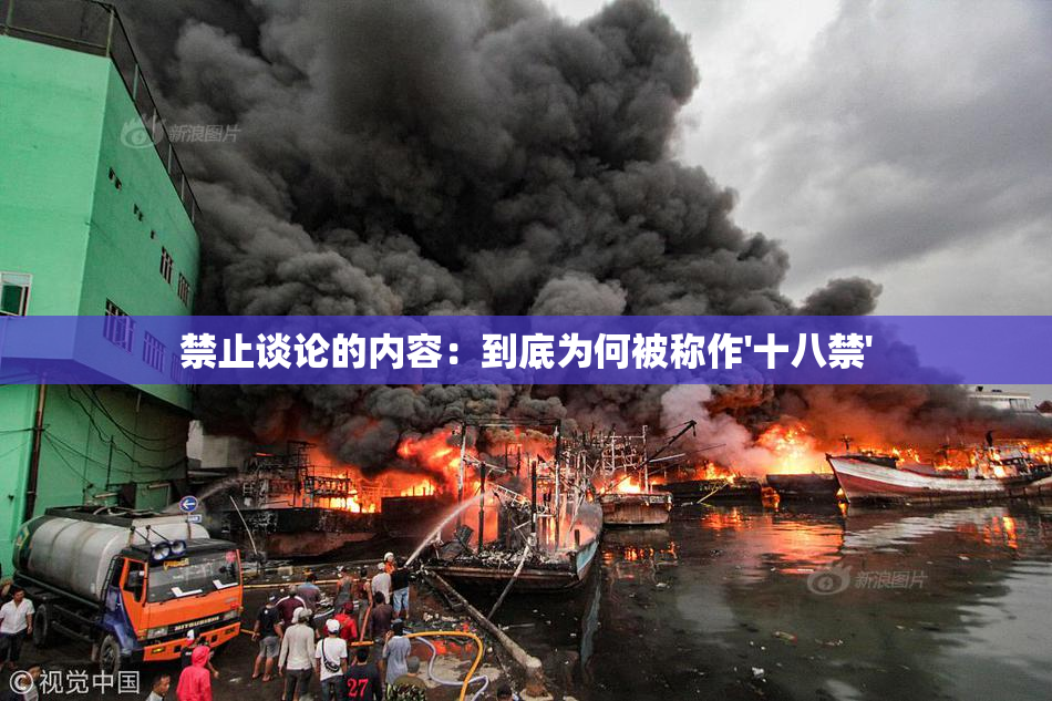 禁止谈论的内容：到底为何被称作'十八禁'