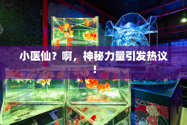 小医仙？啊，神秘力量引发热议！