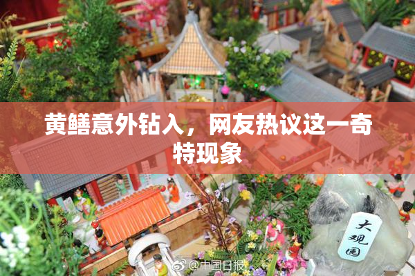黄鳝意外钻入，网友热议这一奇特现象