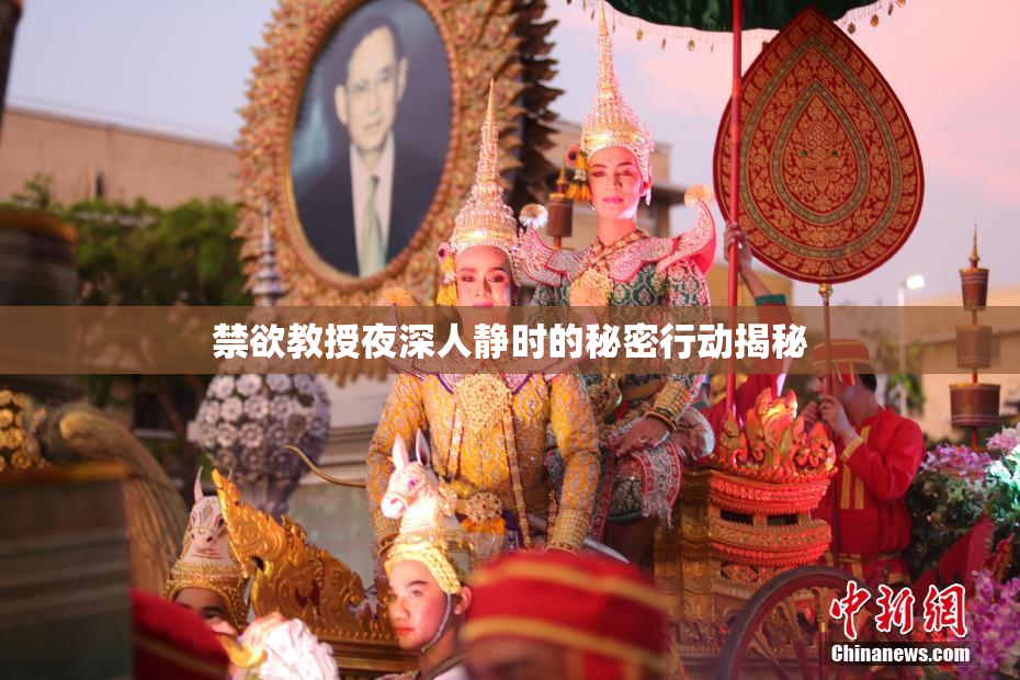 禁欲教授夜深人静时的秘密行动揭秘