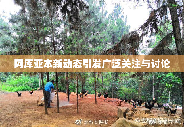 阿库亚本新动态引发广泛关注与讨论