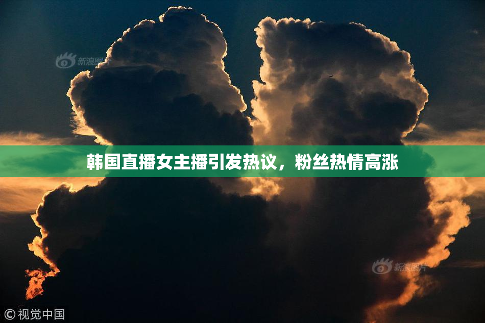 韩国直播女主播引发热议，粉丝热情高涨