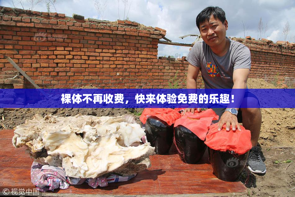 裸体不再收费，快来体验免费的乐趣！