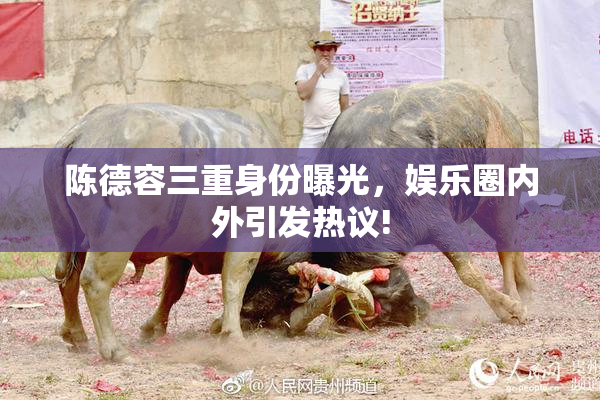 陈德容三重身份曝光，娱乐圈内外引发热议!