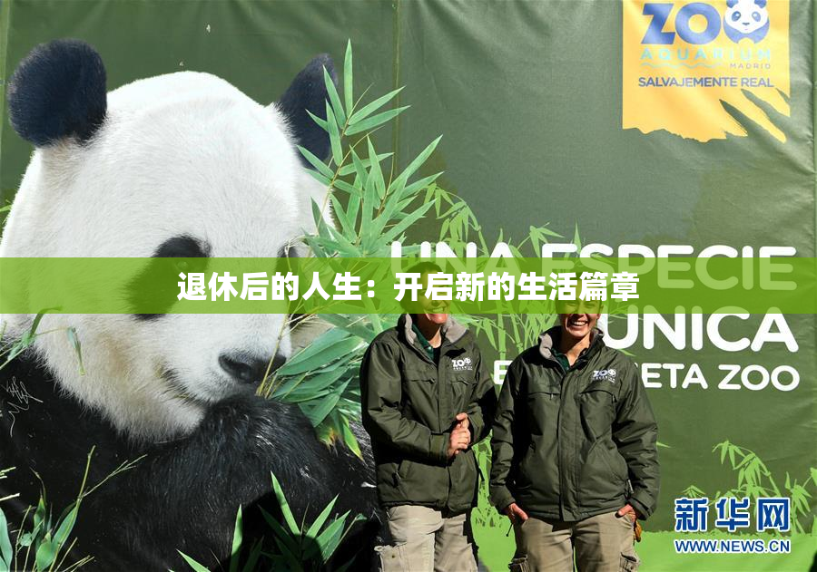 退休后的人生：开启新的生活篇章