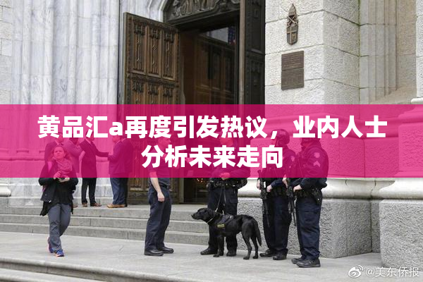 黄品汇a再度引发热议，业内人士分析未来走向