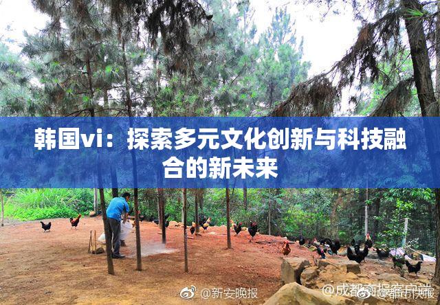 韩国vi：探索多元文化创新与科技融合的新未来