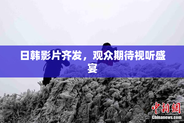 日韩影片齐发，观众期待视听盛宴