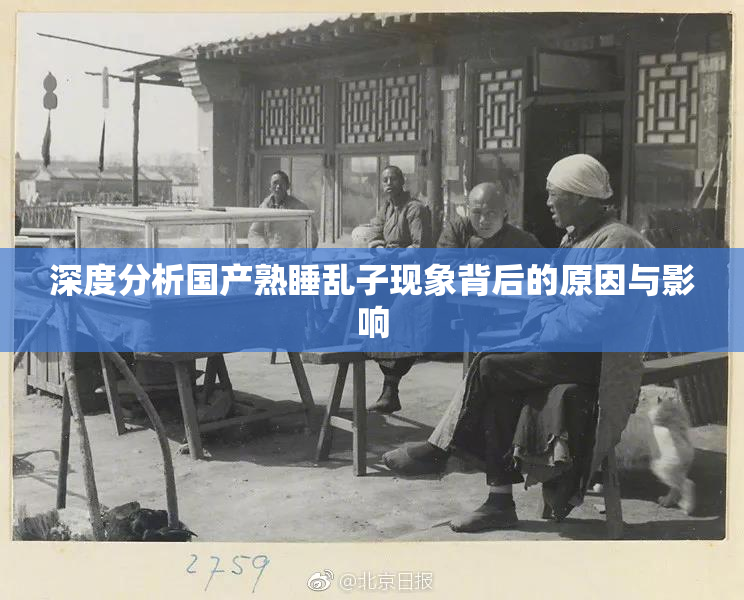 深度分析国产熟睡乱子现象背后的原因与影响