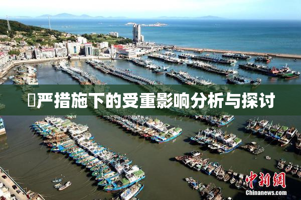 囯严措施下的受重影响分析与探讨