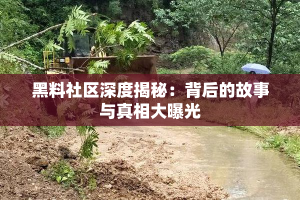 黑料社区深度揭秘：背后的故事与真相大曝光