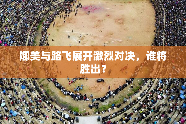 娜美与路飞展开激烈对决，谁将胜出？
