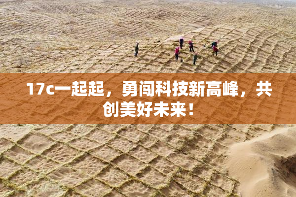 17c一起起，勇闯科技新高峰，共创美好未来！