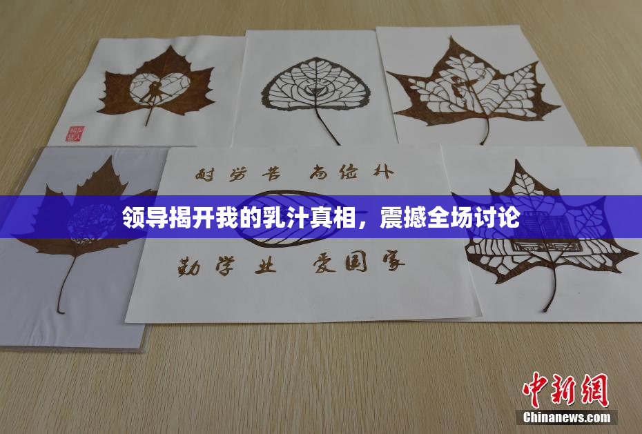 领导揭开我的乳汁真相，震撼全场讨论