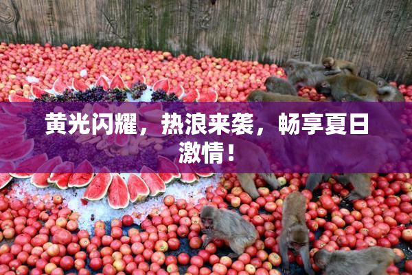 黄光闪耀，热浪来袭，畅享夏日激情！