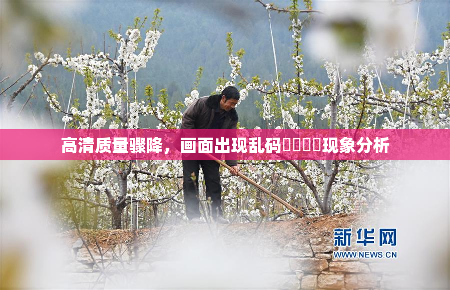 高清质量骤降，画面出现乱码❌‌❌‌现象分析