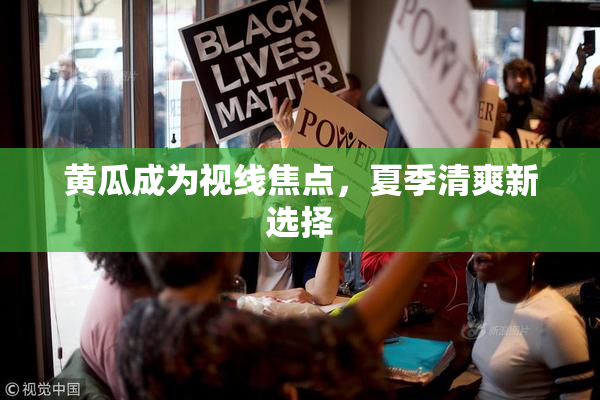 黄瓜成为视线焦点，夏季清爽新选择