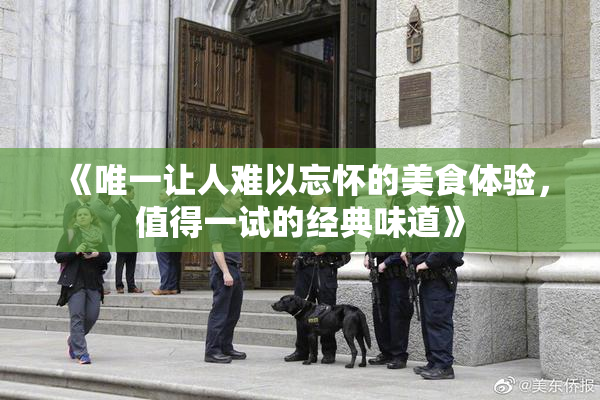 《唯一让人难以忘怀的美食体验，值得一试的经典味道》