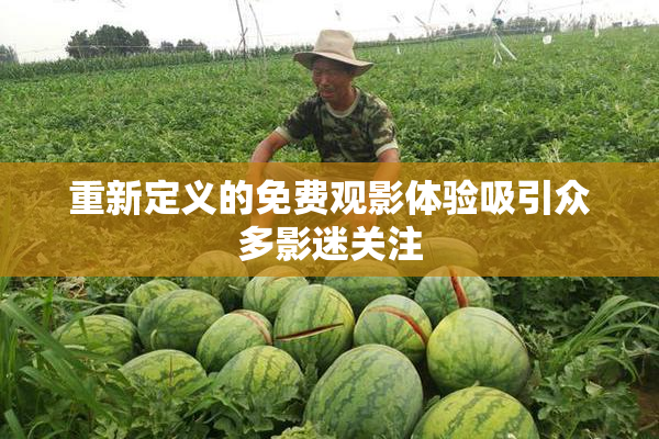 重新定义的免费观影体验吸引众多影迷关注
