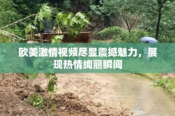 欧美激情视频尽显震撼魅力，展现热情绚丽瞬间