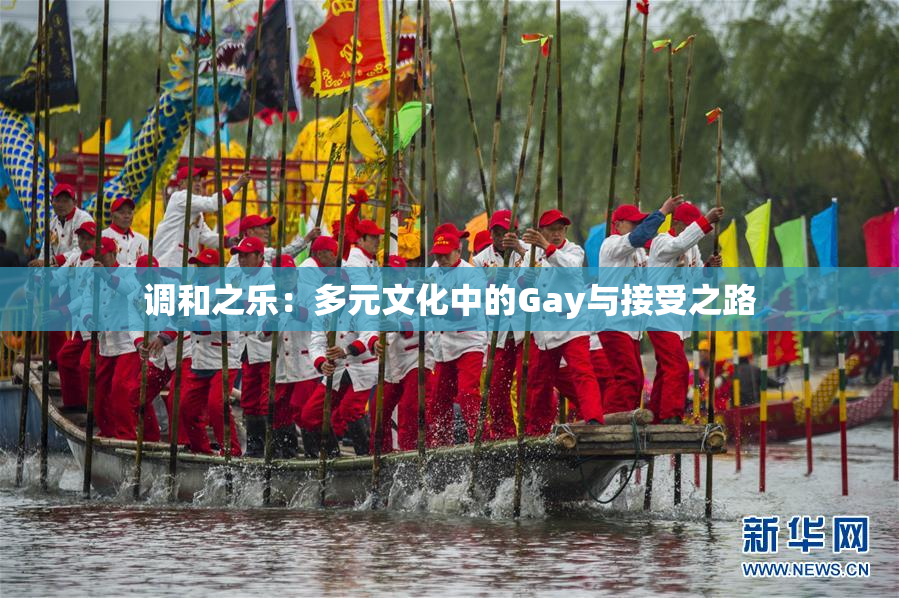 调和之乐：多元文化中的Gay与接受之路