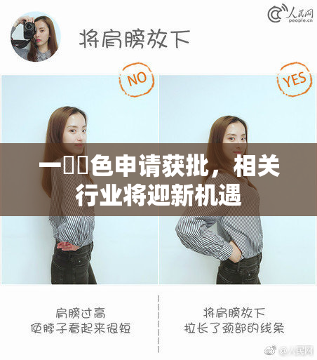一級黃色申请获批，相关行业将迎新机遇