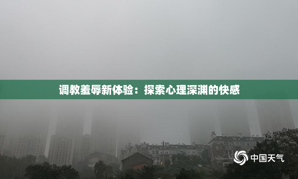 调教羞辱新体验：探索心理深渊的快感