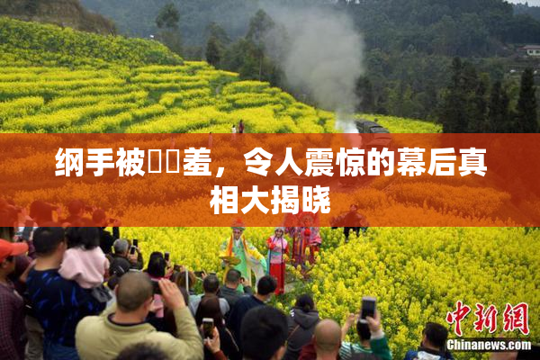 纲手被❌‌羞，令人震惊的幕后真相大揭晓