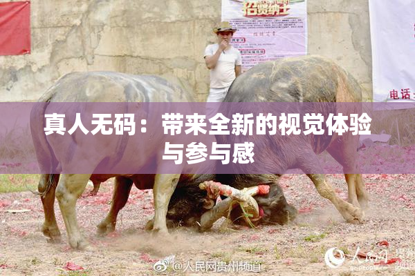 真人无码：带来全新的视觉体验与参与感