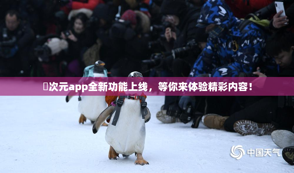 囧次元app全新功能上线，等你来体验精彩内容！